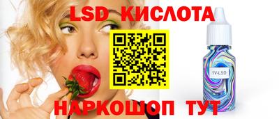 дмт Будённовск