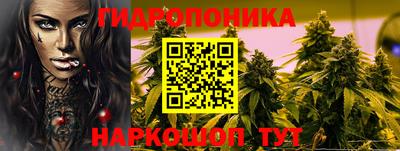дмт Будённовск
