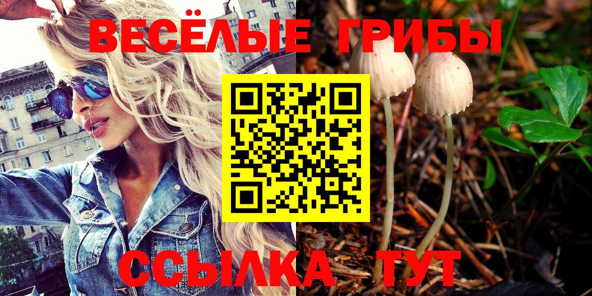 Назарово  даркнет сайт  Вход с VPN  Псилоцибиновые грибы GOLDEN TEACHER 