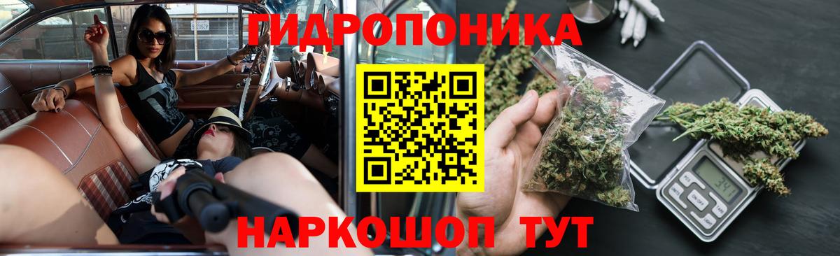 Бошки марихуана марихуана Назарово